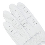 [팬텀] 남성 FG 포인트 골프 장갑 : 팬텀 공식스토어