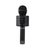 이동식 블루투스 노래방 마이크 무선 헤드마이크 블랙 : 타타컴퍼니