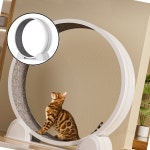 글샵 고양이 운동훈련 헬스 캣휠A 캣워크 운동기구 달리기 : 모든쉼터