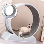 글샵 고양이 운동훈련 헬스 캣휠B 달리기 운동기구 고양이캣휠 : 모든쉼터