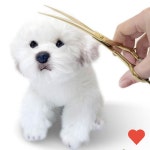 반려동물미용 강아지 일자 빗 반려견 셀프 미용가위 세트 : 병일마트