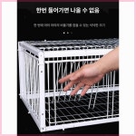 케이지 자동 탈출 청소가 방지 애완용품 비둘기 참새 40 x 30x26 단면 케이블 타이 포함 : 행복느낌마트