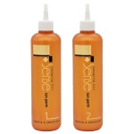 DK 디케이 디자이닝 컬 센스 이온 펌 1제 + 2제 410ml : 1st.Market