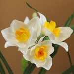 [토마]다양한 색상 수선화 조화/꽃다발 조화꽃 성묘(CN34648) : 쇼핑엔티