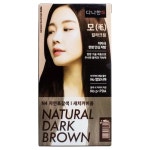 다나한 미니 헤어염색크림 자연흑갈색 모발케어 헤어컬러 100g : 라운엠