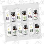 천연 식물 추출 에센셜 오일 아로마 테라피 향기 요법 : 생활in곳간