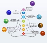 조비비 내추럴 7 차크라 스톤 타이거 아이 비즈 팔찌 남성용 크리스탈 힐링 불안 여성용 순정 가죽 커프 스테인리스 스틸 버클 MULTICOLOR... 