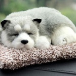 선물용 허스키 강아지 장식용 강아지 대쉬보드 자동차 실내 공기 정화 귀여운 : 종합선물나라