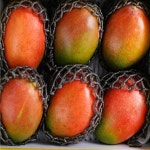 MESHOP 프레시 애플망고 선물용 과일 신선함 구성포함 6개입 : MESHOP