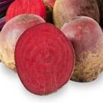 레드비트 3kg 영양만점비트 : HYEJA MART