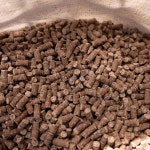 화이트테일 제품 출시 쿠키 반죽 펠릿 40파운드 곰 미끼 식용이 아닌 G1988 : 싼봉지