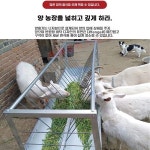 염소먹이통 여물통 사료통 스텐 축사 송아 A. 1m x 0.85m x 0.66m 무료 배송 : 나라랜드16