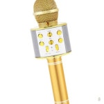 푸른샵 블루투스 마이크 재미있는놀이 노래연습 야유회 : 푸르미점빵