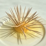 [난각번호 1번] 자연방사 유정란 도시목장 엄선 1번 계란 20구 무항생제 : 도시목장 시온