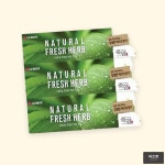 치약 내추럴후레쉬허브 160g 3P : 피즈젯