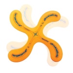 어린이 체육활동용 부메랑 놀이세트 : 블루 커머스 마켓