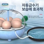 오리알 부화기 부화용 계란 백봉오골계알 종란 병아리 달걀 워터베드 자연방사 농장용 : 링크차이나글로벌