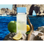 돌체앤가바나 라이트 블루 EDT 남녀공용 향수 50ml : 프롬제이투제이
