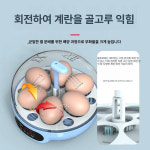오리알 부화기 부화용 계란 백봉오골계알 종란 병아리 달걀 워터베드 자연방사 농장용 : 링크차이나글로벌