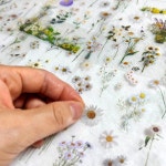 수공예 꾸미기 압화 들꽃 야생화 데코 투명 씰 다이어리 꾸미기 노트 앨범 장식 : 굿초이이스몰