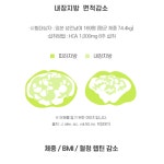 슬림다이어트엔유산균 가르시니아 프로바이오틱스 체지방 럭스로드 : 럭스로드 luxload