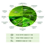 슬림다이어트엔유산균 가르시니아 프로바이오틱스 체지방 럭스로드 : 럭스로드 luxload