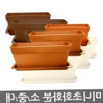 미니 초화화분 화분세트 유치원 학교 화단용LmV : 스마일픽M