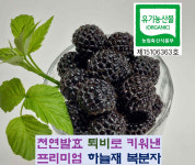 명품 햇 유기농 복분자1kg 26년산 토종복분자 생과 급냉 하우스재배 하늘재농원 산지직송 : 하늘재농원