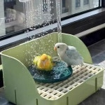 앵무새 욕조 목욕통 usb 자동 물놀이 A. 조류 여름 자동 샤워 목욕 세트녹색 구제 : 소당마켓