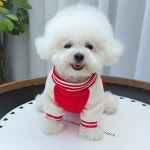 산책 자켓 야외용 플리스 D링 강아 A. 빨간색, A. XS 가슴둘레 30 약 3근 55근 : 만가지상품샵