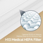 GoKBNY 2팩 H7124 H712C 교체 필터 GoveLife 및 스마트 공기청정기와 호환 부품 번호 # H7124-RF H712C-RF : allpic007