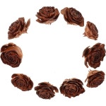 압화 공예 취미 플라워 누르미 Beaupretty 천연 드라이 10개 세트 꽃 소재 레진 공예용 장식 DIY 홈 데코레이션용 : 달콤한 나침반