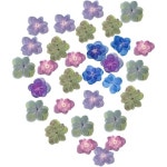 압화 공예 플라워 누르미 원예 건조 30개 드라이플라워 중겹 수국 DIY 공예용 진짜 소재 자르기 노트 레진 아트 작품 장식용 : 달콤한 나침반