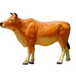 소 모형 장식품 농장 목장 정원 한우 매장 대형 소품 A : 라임배송대행