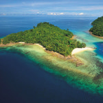 [코타키나발루] 마누칸 & 사피섬 호핑투어 & 해양스포츠 : 부럽트래블