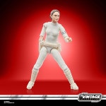 STAR WARS 빈티지 지 컬렉션 스타-워-즈 에피소드 2/클론 공격 파도메 아미다라 무 3.75 인치 컬렉션용 액션 피규어 G2612 : haruharu23