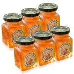 100% 야생 천연꿀 대용량 프리미엄 저온 농축 천연 자연 야생 자연산 꿀 벌꿀 야생꿀 천연꿀 6병 : 달리천국