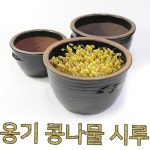 옹기콩나물시루 대 콩나물시루 : 티에스24