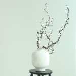 촬영부케 배경 소품 용수목 가지 안개꽃 돈꽃다발 장식 : 미음샵