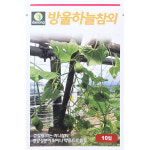 방울하늘참외 10립 다농 26년 참외씨앗 : 제일농약사
