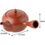 일본 직배송 토코나메야키 사토야마 솔리드 티포트 430ml 상쾌한 메쉬형 주전자 진한 증기 추출용 호지차 현미차 일본산 박스 포장 tk022... 