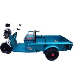 삼발이오토바이 삼륜오토바이 노인전동차 세발 3륜 : 해운화