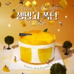 [특별한선물] 진짜망고가득찬 폭탄생망고케이크 디저트선물(아이스 전국배송) : 주식회사 예맛떡