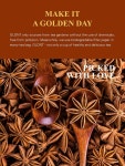 GLDNT 스타 아니스 요리 베이킹 차를 위한 전체 카페인 프리 3.5온스 Star Anise Tea 3.5 Ounce (Pack of 1) : 픽셀샵원