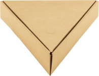 캐럿 [100 ct 싱글 피자 슬라이스 박스 9.8 x9.0 x2 트라이앵글 일회용 음식 포장 : 모먼트 유니온 스토어