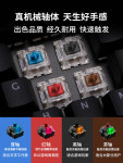 Rapoo V500PRO 기계식 키보드 - 블랙 블루 브라운 레드 스위치 데스크탑 노트북 게임 및 사무용으로 적합 : 할랑마켓
