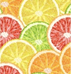 Hocsocx 시트러스 슬라이스 양말 필드 하키 스 축구용 습기 흡수 보호 기능 퍼포먼스 라이너 Small Citrus Slice : 브리트웰