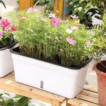 자동급수 화분 초록가든 : 옛날상점