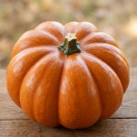 수정 보관 호박 씨앗 채소 농사 소량 모종 마당 품종 숙성 저장성 맷돌 텃밭 덩굴 심는 잘 : 런생활마켓