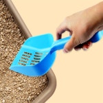 일상발견 고양이모래삽 똥삽 고양이청소도구 : 일상의 틈